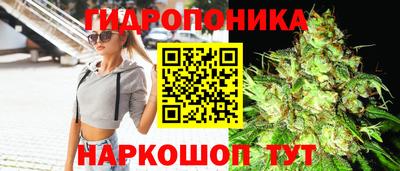 соль ск Камышлов