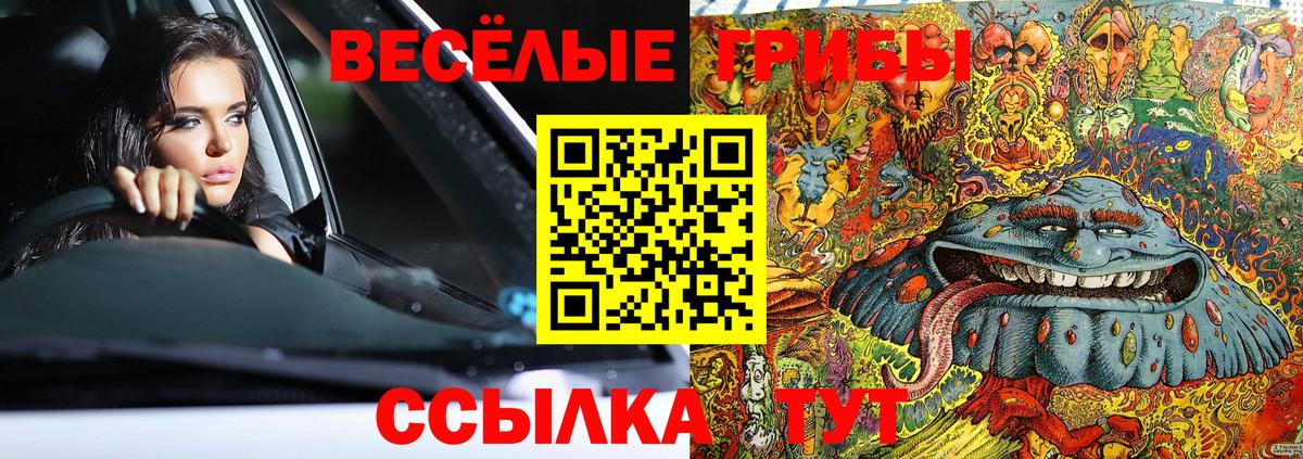 Псилоцибиновые грибы прущие грибы Геленджик