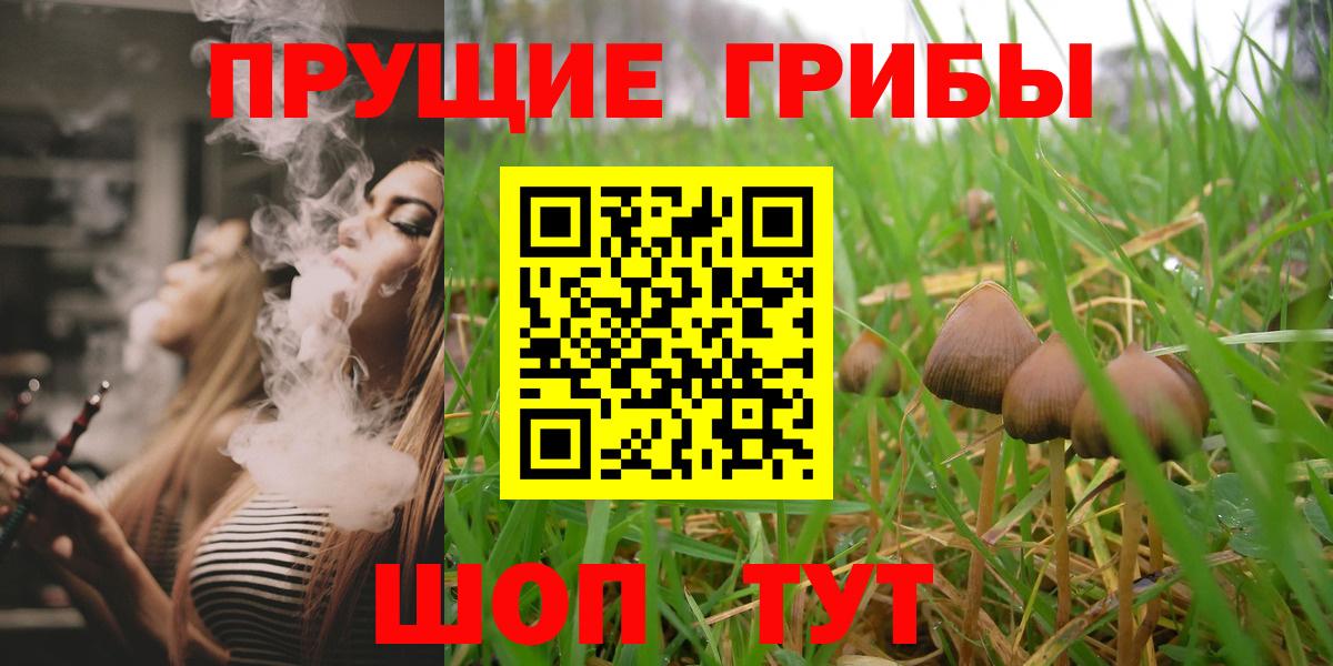 Псилоцибиновые грибы Cubensis  Вход с VPN  Геленджик 